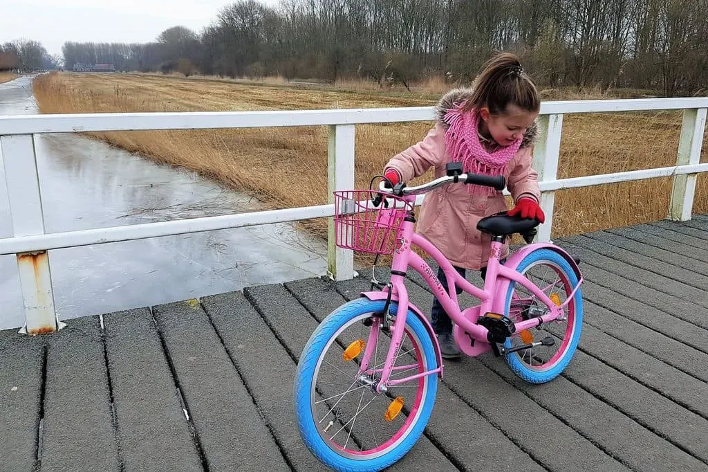 Profeet schors afbreken Alpina Ocean meisjesfiets review van 16 & 18 inch in het roze -  Mamaliefde.nl